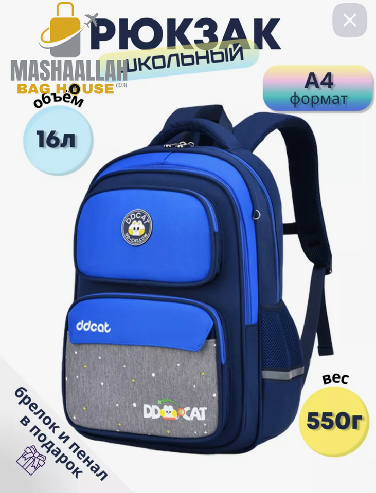 School Backpack